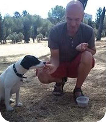 _image (1)